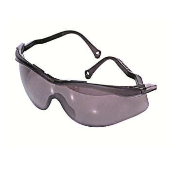 Ersatzscheibe für Schutzbrille Edge, grau getönt